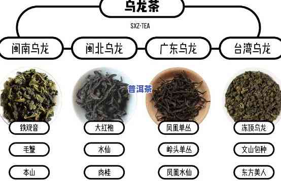 普洱与乌龙，品味茶香：探索普洱与乌龙的韵味差异