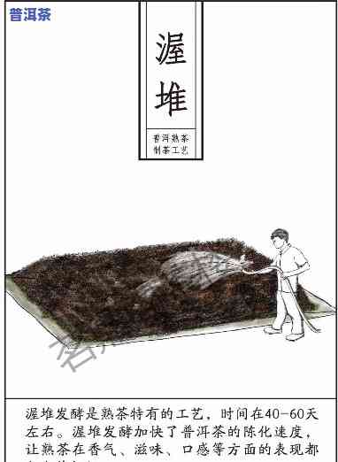 普洱茶制作工艺的演变历史：从古至今的转变与背景