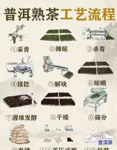 普洱茶制作工艺的演变-普洱茶制作工艺的演变过程