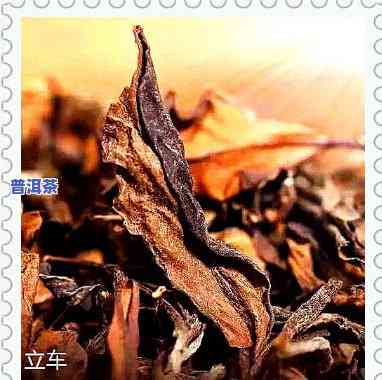 老班章：什么茶厂生产的？产地在哪里？由哪家茶厂出品？