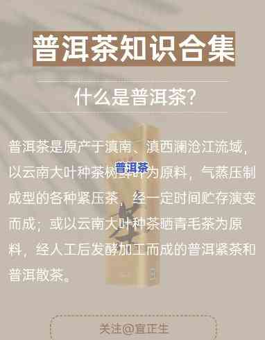 普洱茶叶官网：一站式熟悉普洱茶官方信息及最新动态