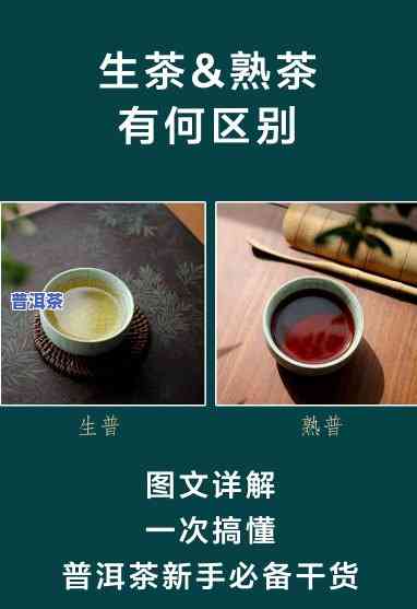 普洱生茶：新茶与旧茶的口感对比