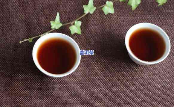 熟普洱茶的特点是什么，探秘熟普洱茶的特别特点与魅力