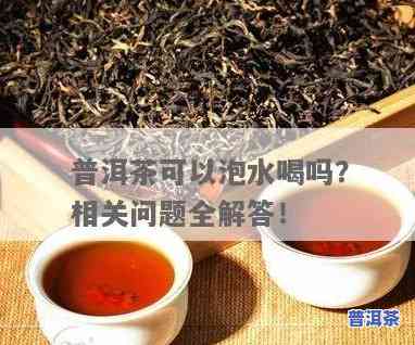 普洱茶可以泡水喝吗？完整解析与答案