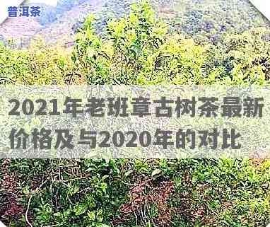 2020-2021年老班章古树茶价格走势及历史数据对比分析