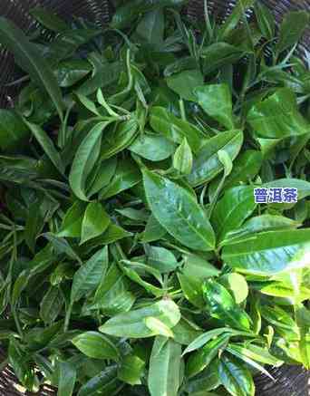 普洱茶可以存放多久？散装普洱茶无期限，只需留意保存方法