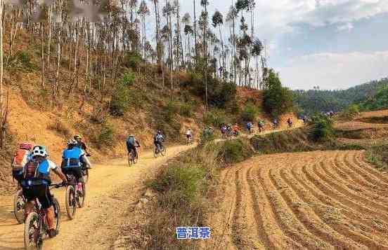 普洱茶城骑行视频播放大全：最新高清合集免费下载