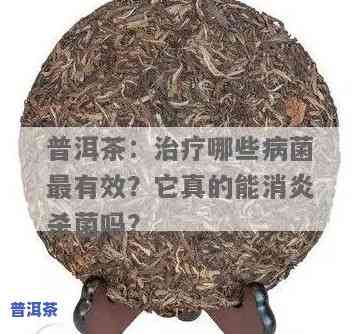 普洱茶：真的具有杀菌消炎作用吗？