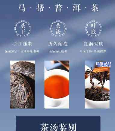 马帮普洱茶珍藏礼品装：价格与价值的探索