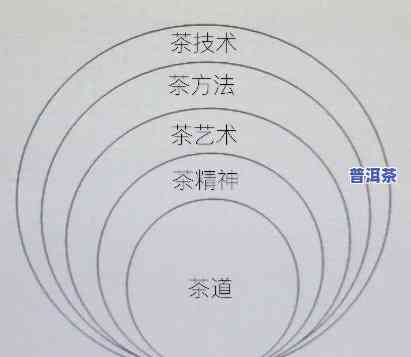 茶道展示：普洱茶的特别特点探究