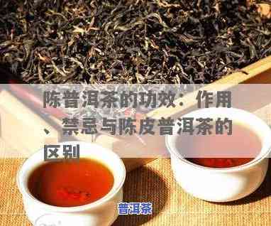 陈普洱茶功效与作用及禁忌，探究陈普洱茶的神奇功效、作用及饮用禁忌