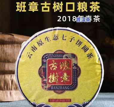 普洱茶榜单有哪些牌子好，探秘茶叶世界：2023年普洱茶排行榜，哪些牌子口感更佳？