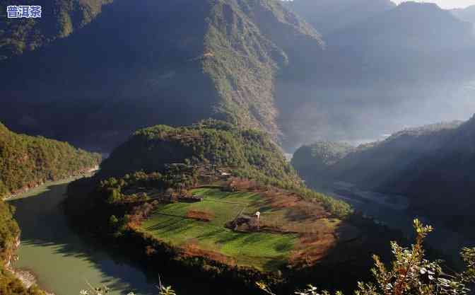 高黎贡山普洱茶怎么泡-高黎贡山普洱茶口感