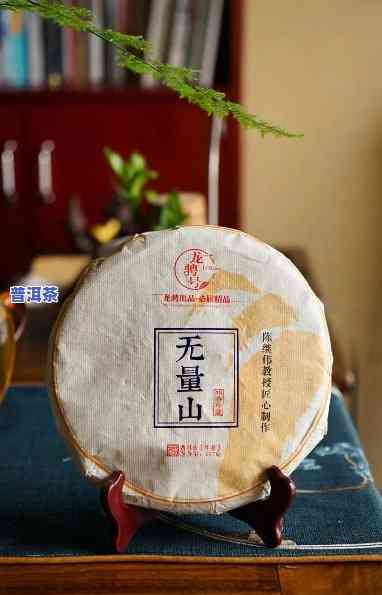 无量山普洱茶好喝吗，无量山普洱茶：口感怎样？值得一试吗？