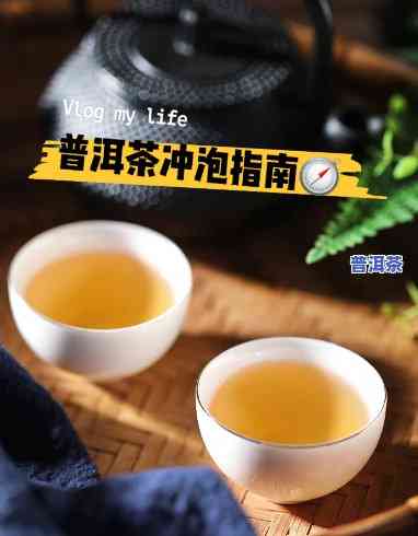 普洱茶阴阳泡更佳时间解析视频