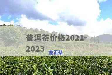 2023普洱茶之一名-2021普洱茶