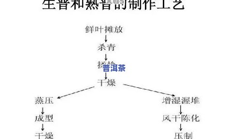 普洱茶工艺各个流程图解，深入熟悉普洱茶：工艺流程图解