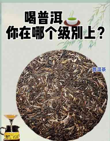 每天可以喝几种普洱-每天可以喝几种普洱茶