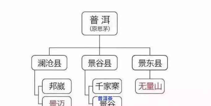 全攻略：关于普洱茶的资料大全