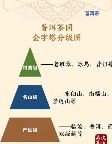 普洱茶的怎样区分，区分普洱茶：关键因素与实用技巧