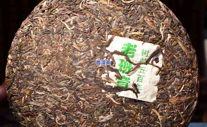 老班章哪家的茶叶好？比较与推荐