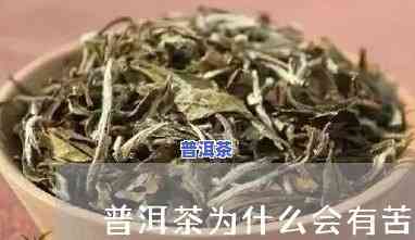 普洱茶古时候苦力喝的-普洱茶古时候苦力喝的是什么