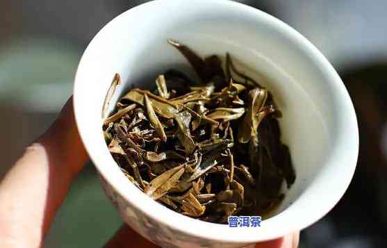 决定普洱茶的关键因素-决定普洱茶的关键因素是