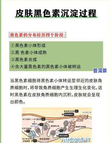 普洱茶加什么能变黑？揭秘黑色素沉淀的秘密！