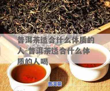 西北人是不是适合饮用普洱茶？上有哪些相关讨论？