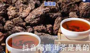 抖音普洱茶，探索世界茶文化：抖音上的普洱茶热