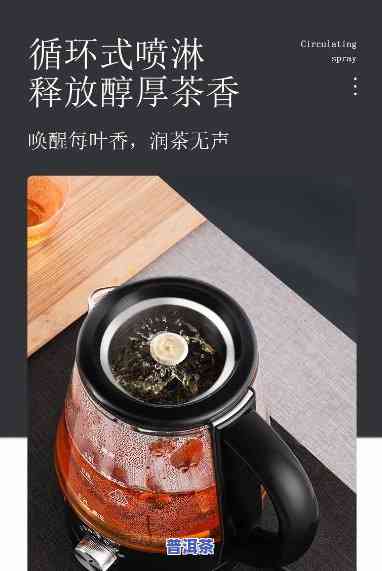 普洱茶叶适合用蒸茶器，提升品茗体验：普洱茶叶的完美搭档——蒸茶器