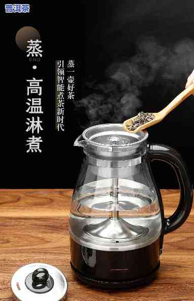 普洱茶叶适合用蒸茶器，提升品茗体验：普洱茶叶的完美搭档——蒸茶器