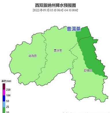 西双版纳老班章天气预报：今日气温、风向与降雨情况分析