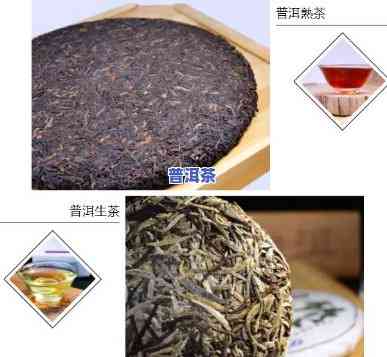 普洱茶属于什么类型的食品？详解其类别归属