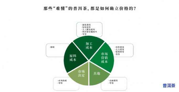 探究普洱茶价格提升的起因及其作用因素