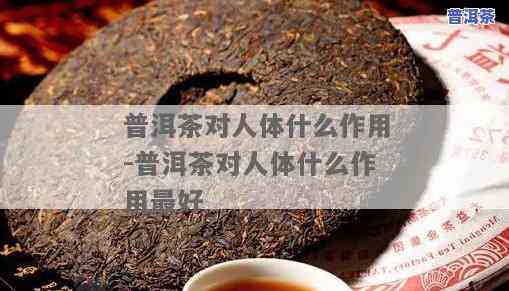 普洱茶对人体有什么好处和坏处，探讨普洱茶的益处与风险：对人体的作用是什么？