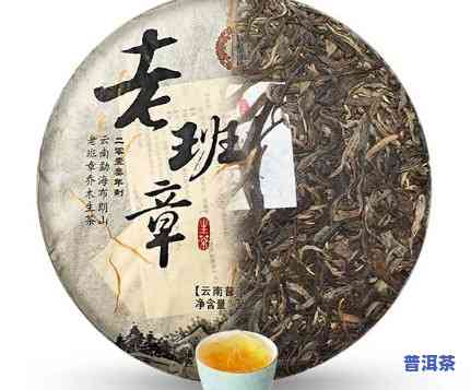 老班章的茶好吗，探讨老班章茶叶的品质：它真的好吗？