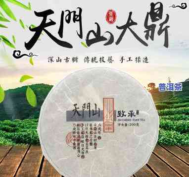 天门山普洱茶是哪家的，揭秘茶叶：天门山普洱茶属于哪家公司？