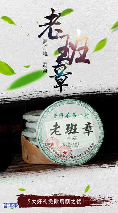 2008年的老班章，追寻历史印记：探访2008年老班章普洱茶的故事