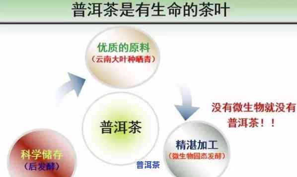 云南农业大学周红杰监制普洱茶，权威保障：云南农业大学周红杰监制，品味正宗普洱茶