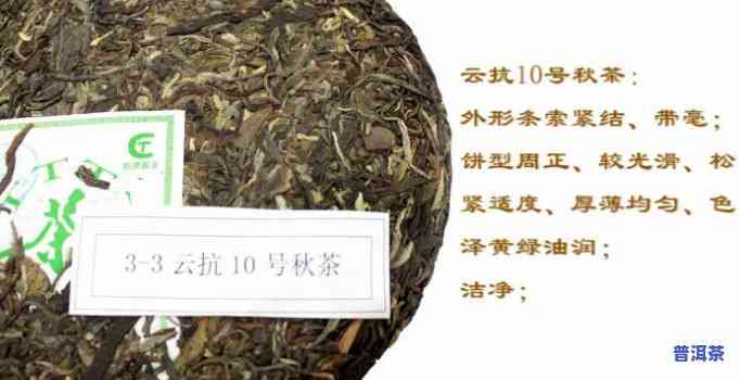 云南普洱茶周红杰签名-云南普洱茶 周红杰