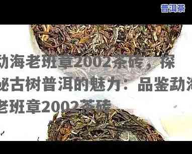 勐海老班章2002茶砖，探索普洱茶的魅力：品鉴勐海老班章2002茶砖