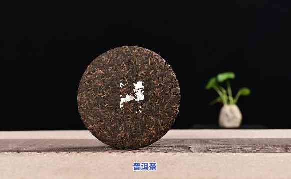 信记号普洱茶2019年，品鉴2019年信记号普洱茶：口感与香气的特别体验