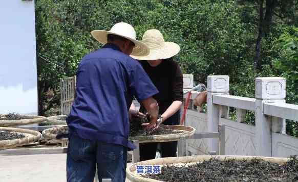 永德雄峰工人做普洱茶怎么样，永德雄峰工人精制普洱茶：品质保证的背后故事