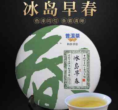 冰岛明前春普洱茶生茶-冰岛早春普洱茶