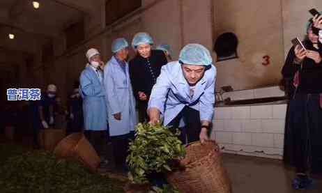 李亚鹏普洱茶参赛发现虫壳，李亚鹏在普洱茶比赛中发现虫壳，引发茶叶品质争议