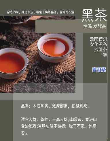 墨烈普洱茶特点是什么-墨雅普洱茶