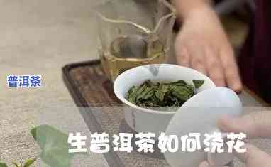 普洱茶可以给花施肥吗？视频详解教程