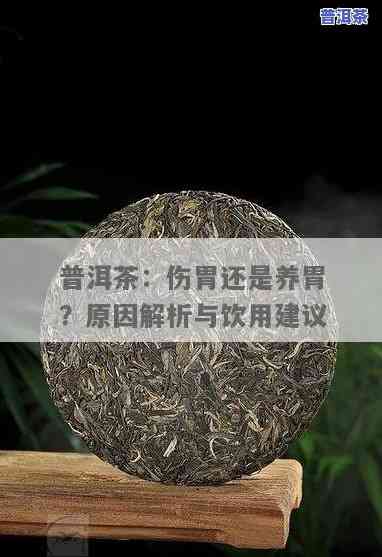 喝普洱茶会不会伤胃？解析其对胃部的作用