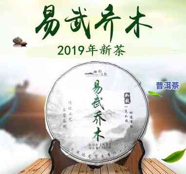 乔木普洱茶易武早春饼-易武乔木普洱茶价格